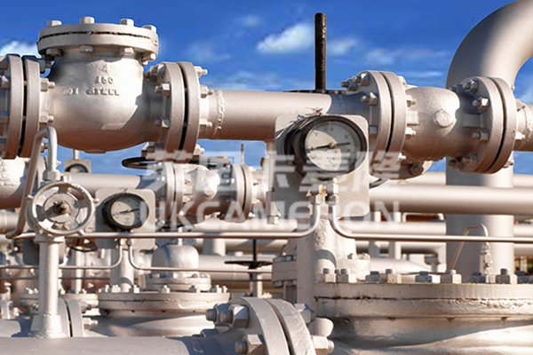 进口旋启式止回阀案列