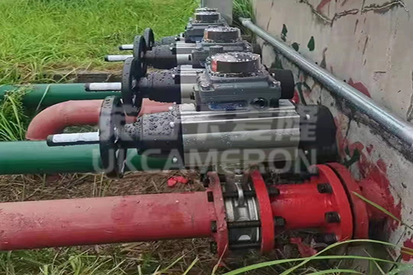 进口气动不锈钢蝶阀案列