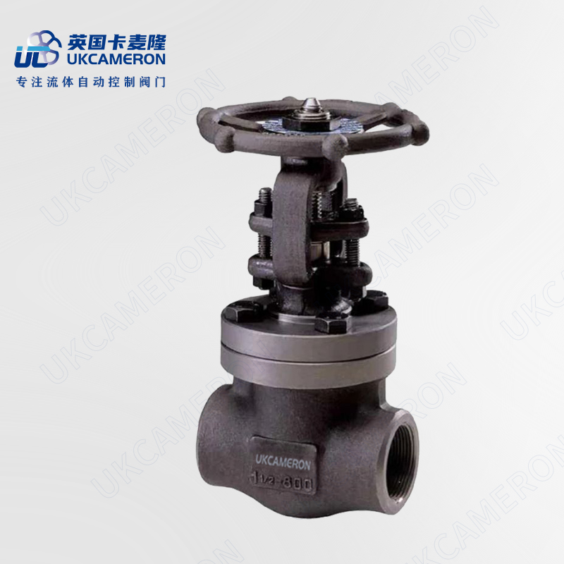 进口锻钢截止阀