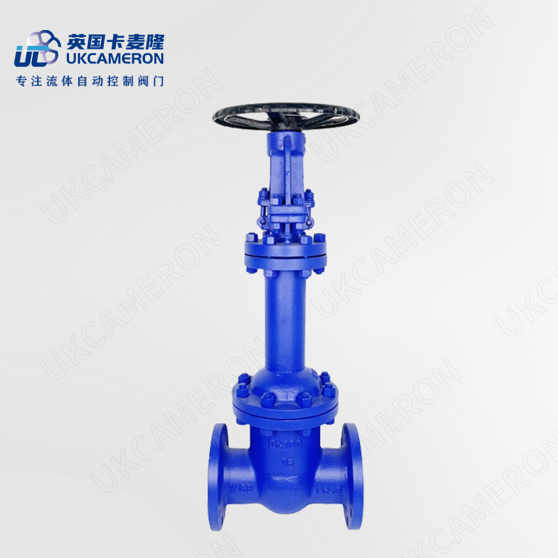 进口波纹管闸阀