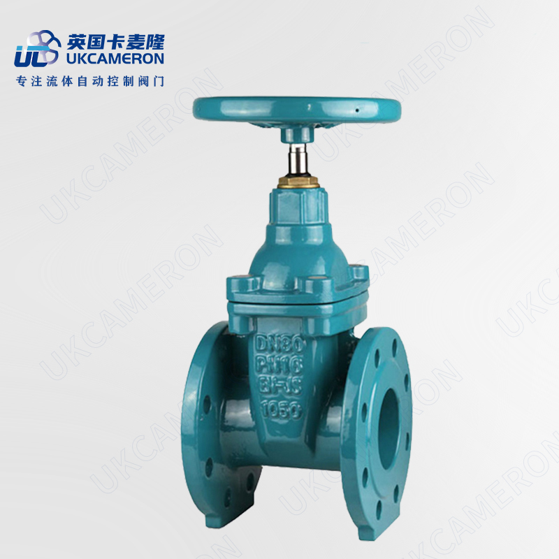 进口暗杆软密封闸阀