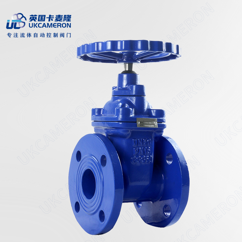 进口球墨铸铁闸阀