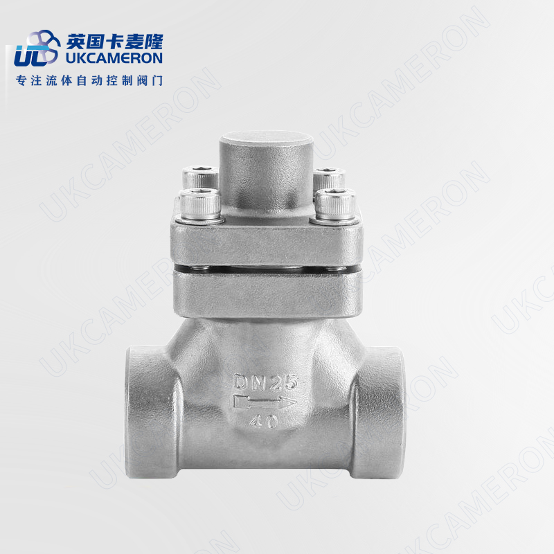 进口低温止回阀