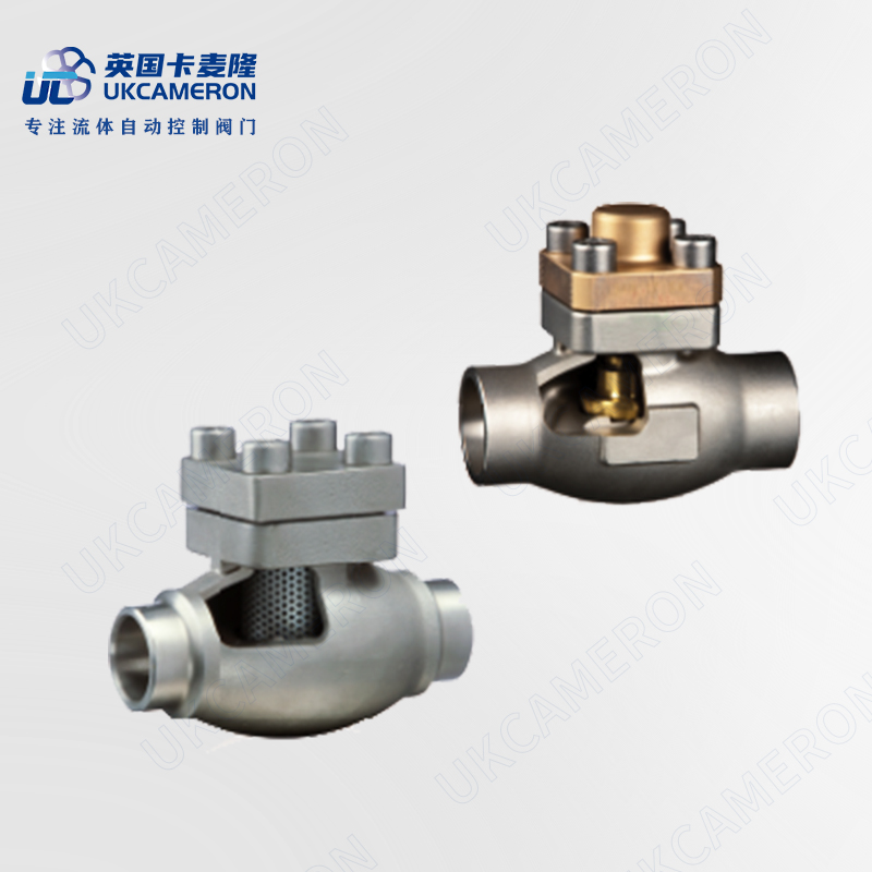 进口液氧止回阀