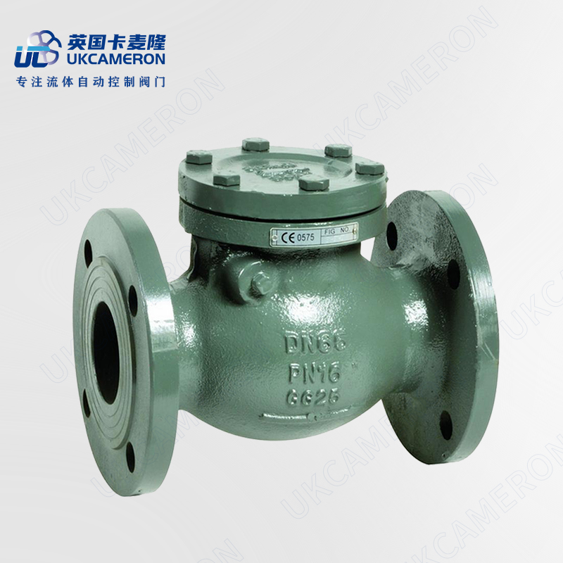 进口旋启式止回阀