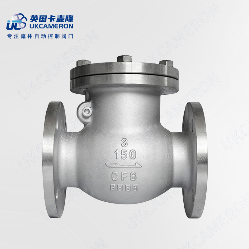 进口不锈钢旋启式止回阀