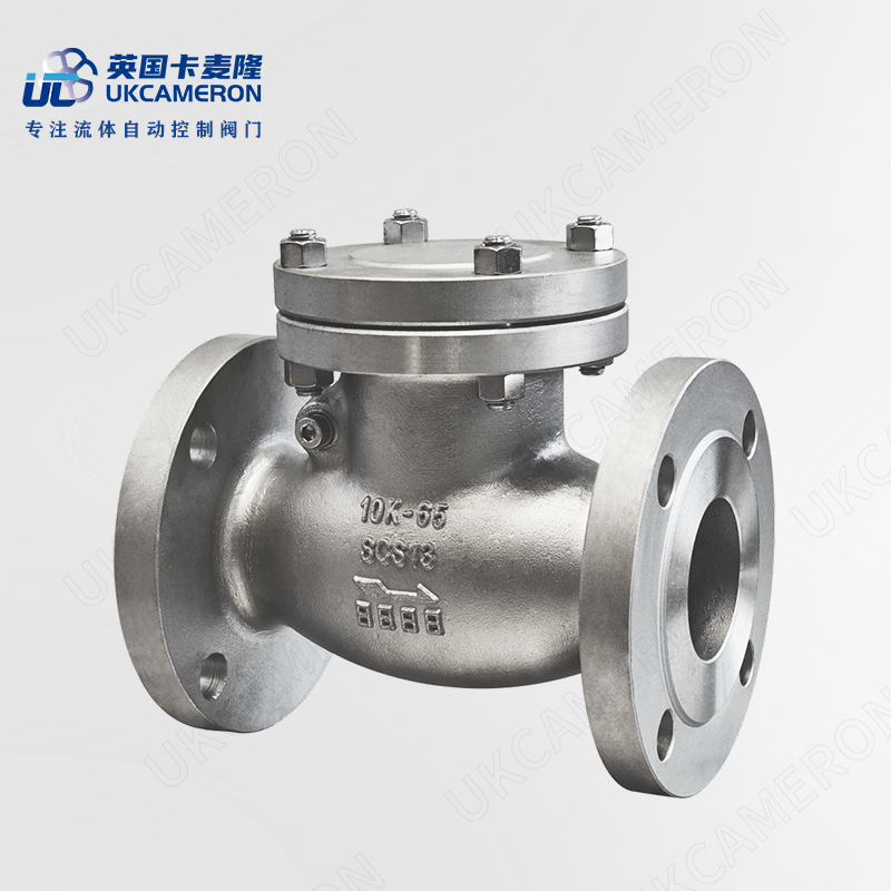 进口日标旋启式止回阀