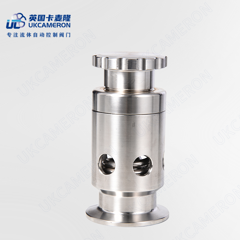 进口真空安全阀